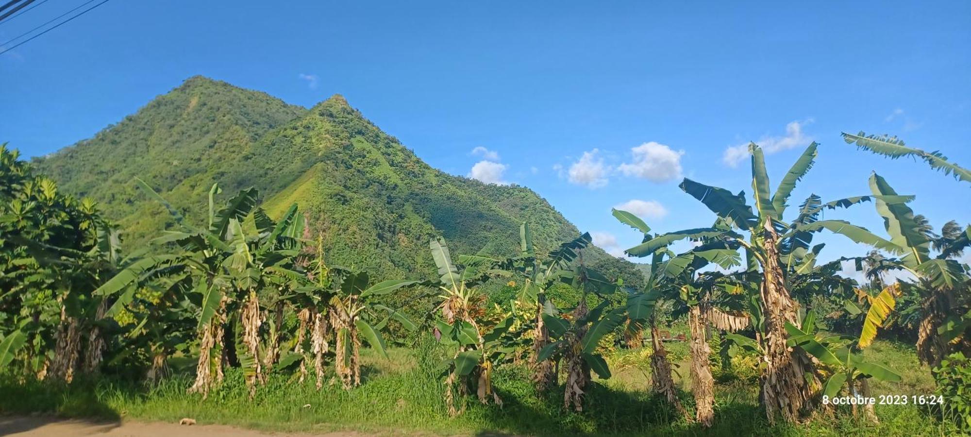 Hava'E Lodge Teahupoo Ngoại thất bức ảnh