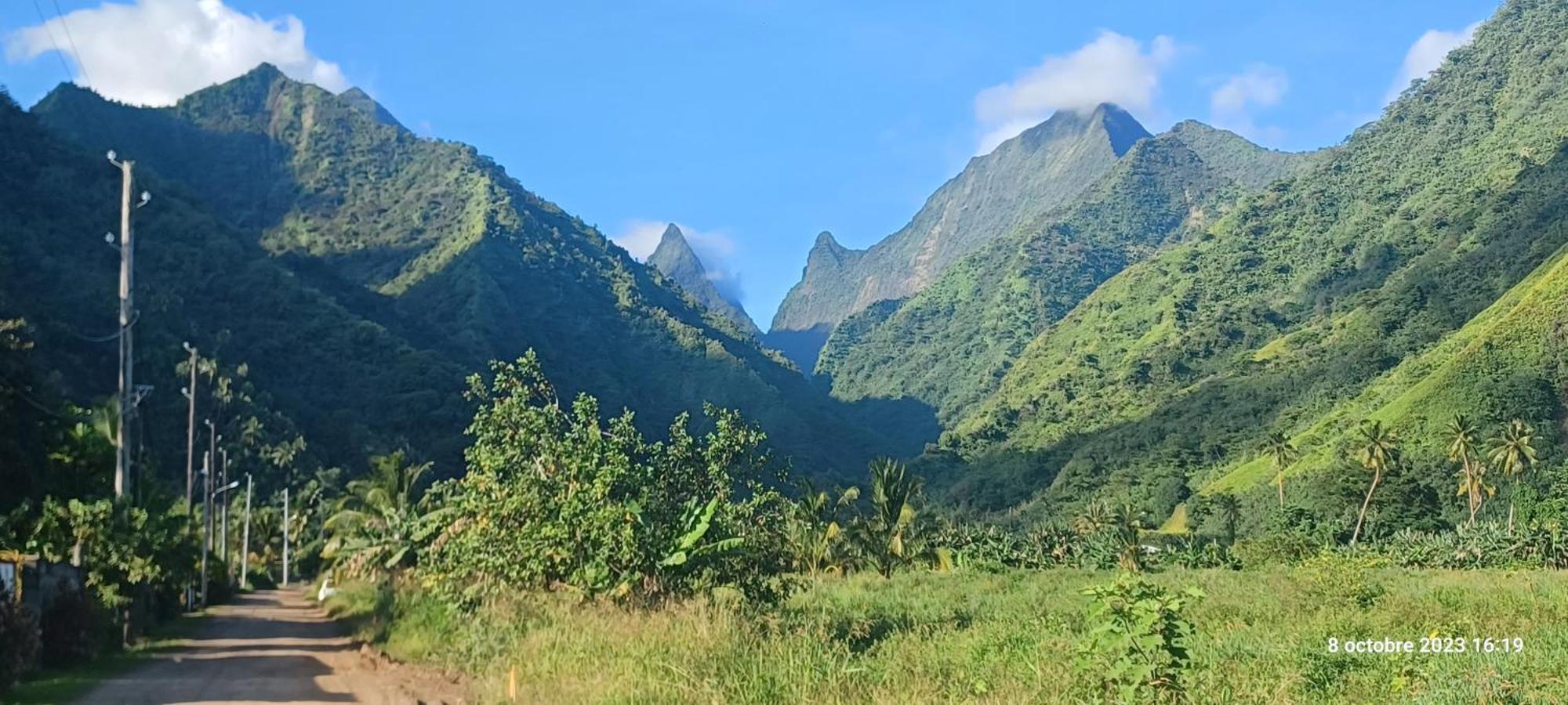 Hava'E Lodge Teahupoo Ngoại thất bức ảnh