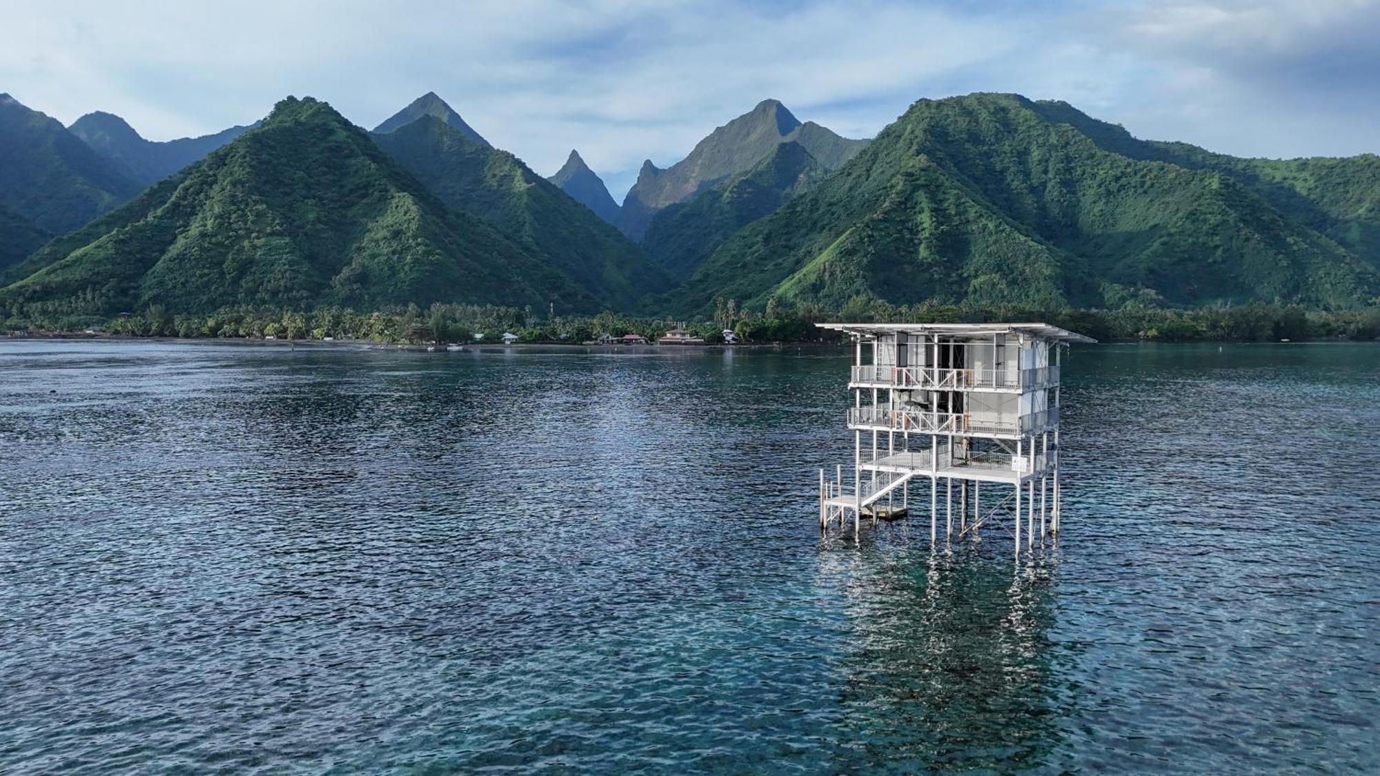 Hava'E Lodge Teahupoo Ngoại thất bức ảnh