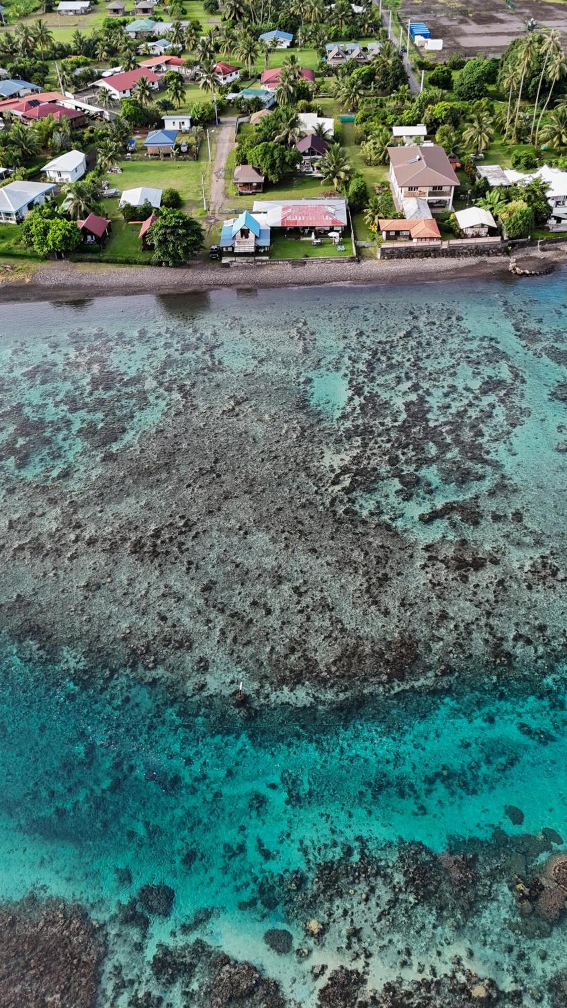 Hava'E Lodge Teahupoo Ngoại thất bức ảnh